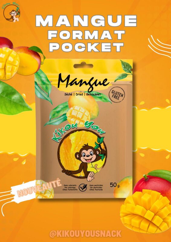 Mangue Format Pocket - le paquet que tu veux toujours avoir dans la poche